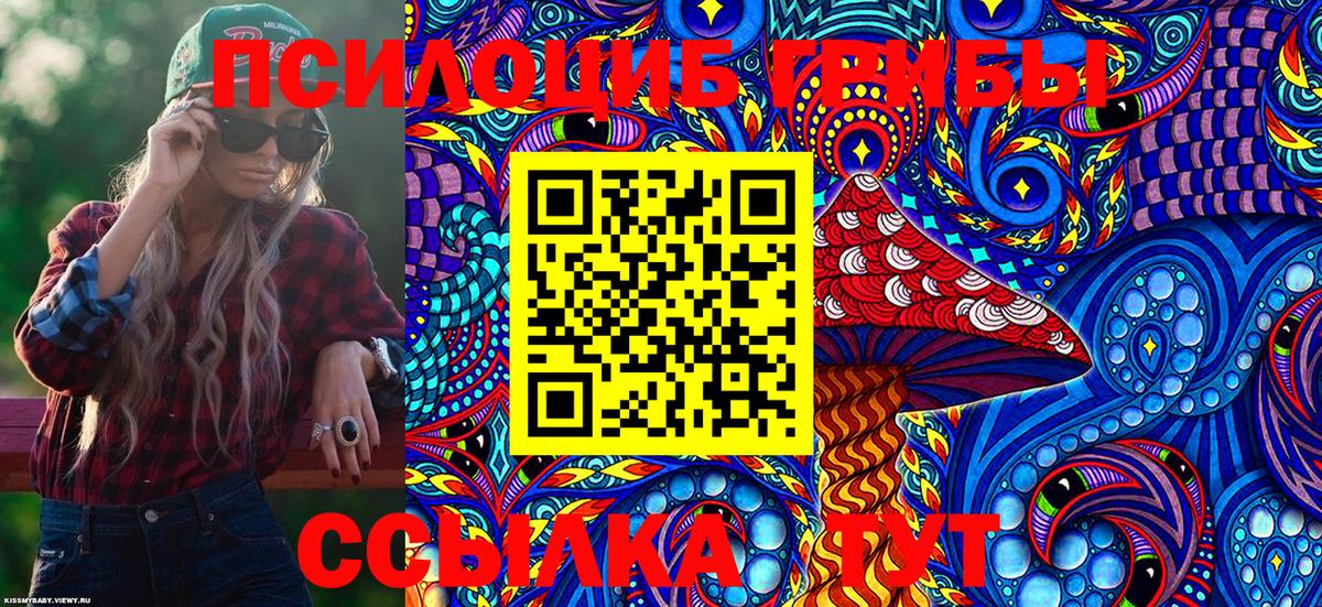 Псилоцибиновые грибы Cubensis Большой Камень