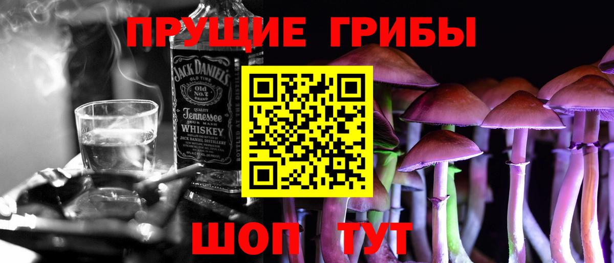 Большой Камень  Псилоцибиновые грибы Magic Shrooms  Вход с VPN  Псилоцибиновые грибы Psilocybine cubensis 